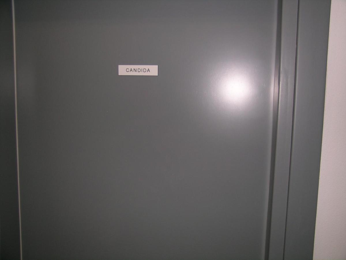 Camera Con Bagno Privato Candida Специя Екстериор снимка